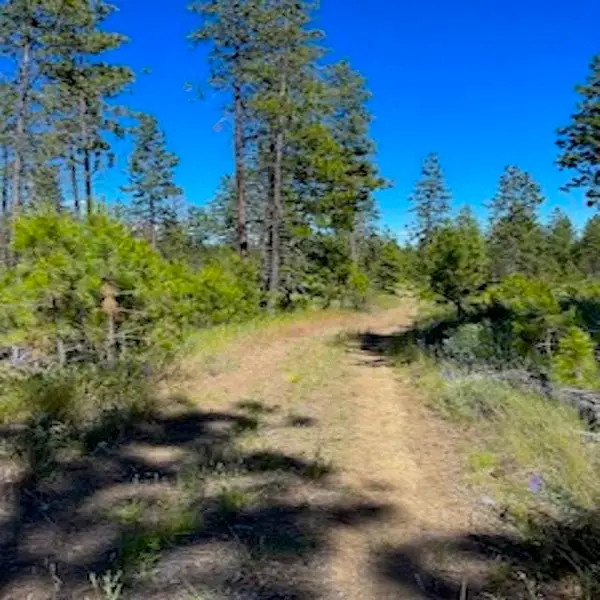 Lot B Kronos Short Plat/pine Hen Ln, Davenport, WA 99122