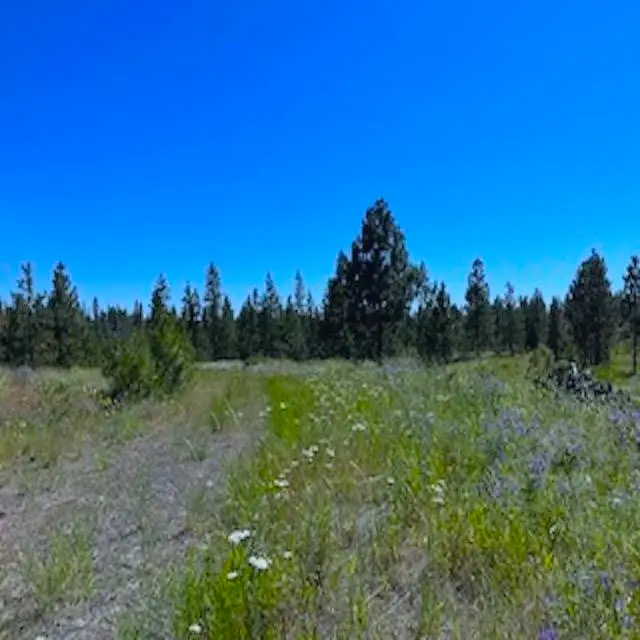 Lot B Kronos Short Plat/pine Hen Ln, Davenport, WA 99122 - Image #2