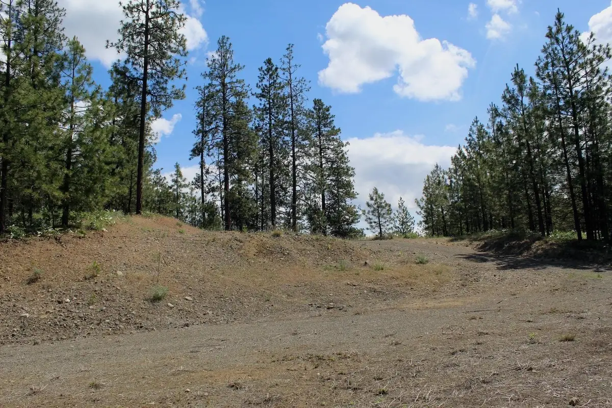 Flicker Lot 4 Sontag Ridge Dr, Davenport, WA 99122 - Image #1