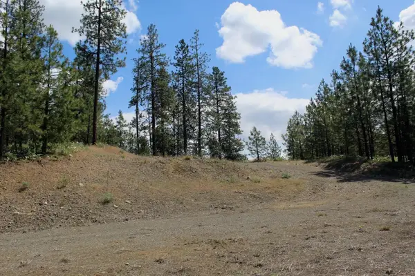 Flicker Lot 4 Sontag Ridge Dr, Davenport, WA 99122