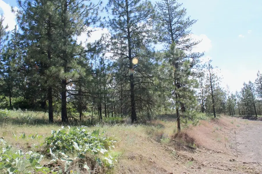Flicker Lot 4 Sontag Ridge Dr, Davenport, WA 99122 - Image #3