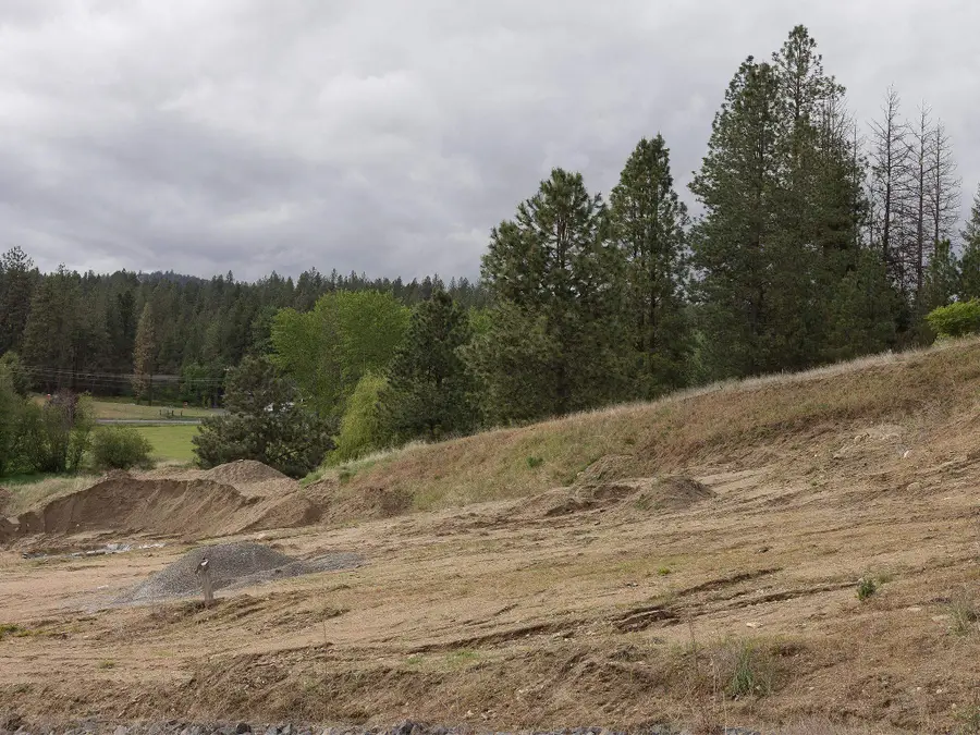 11811 E Honeycomb Springs Ln, Spokane, WA 99206 - Image #3