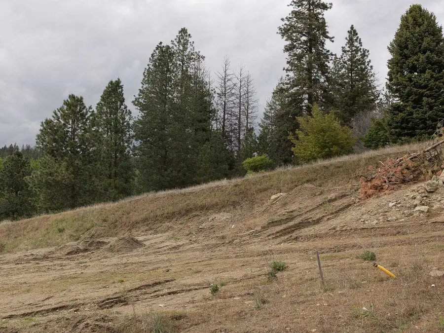 11817 E Honeycomb Springs Ln, Spokane, WA 99206 - Image #3