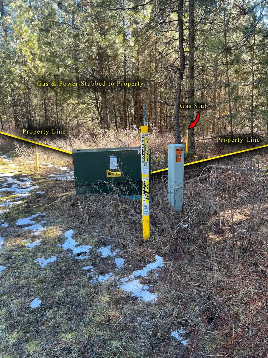 31912 N Division Rd, Deer Park, WA 99006 - Image #2