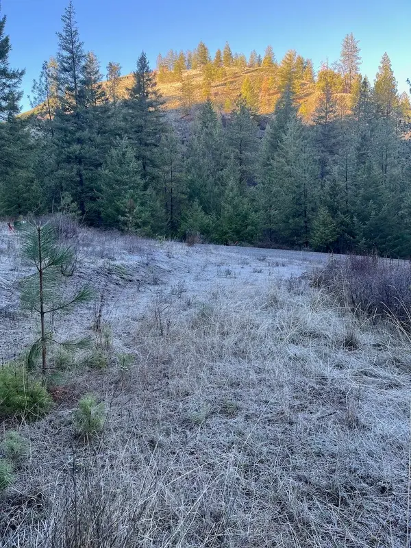 31270 Blue Grouse E Dr, Davenport, WA 99122