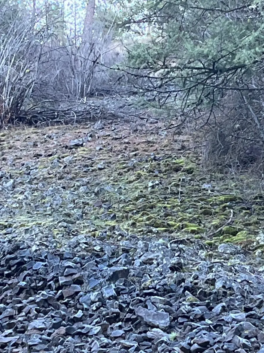 31270 Blue Grouse E Dr, Davenport, WA 99122 - Image #2