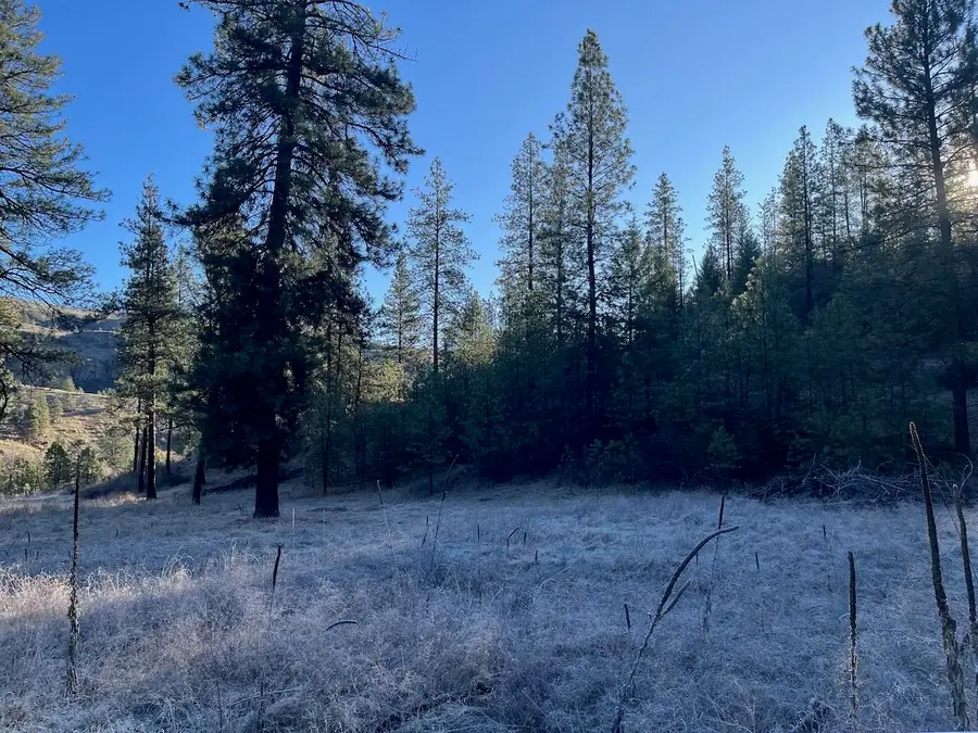 31824 Blue Grouse E Dr, Davenport, WA 99122 - Image #3