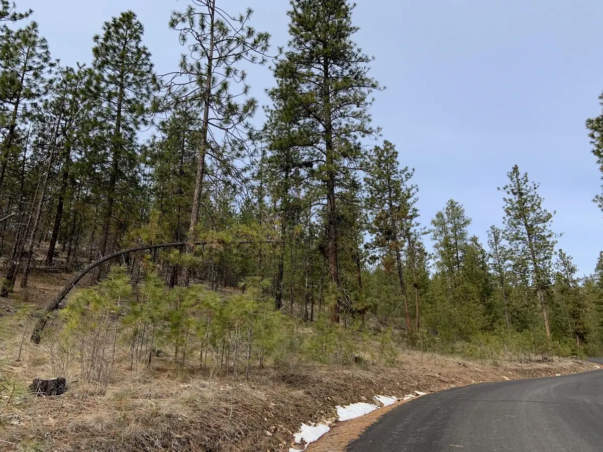 Wapiti 3 Bob White Ln, Davenport, WA 99122 - Image #1