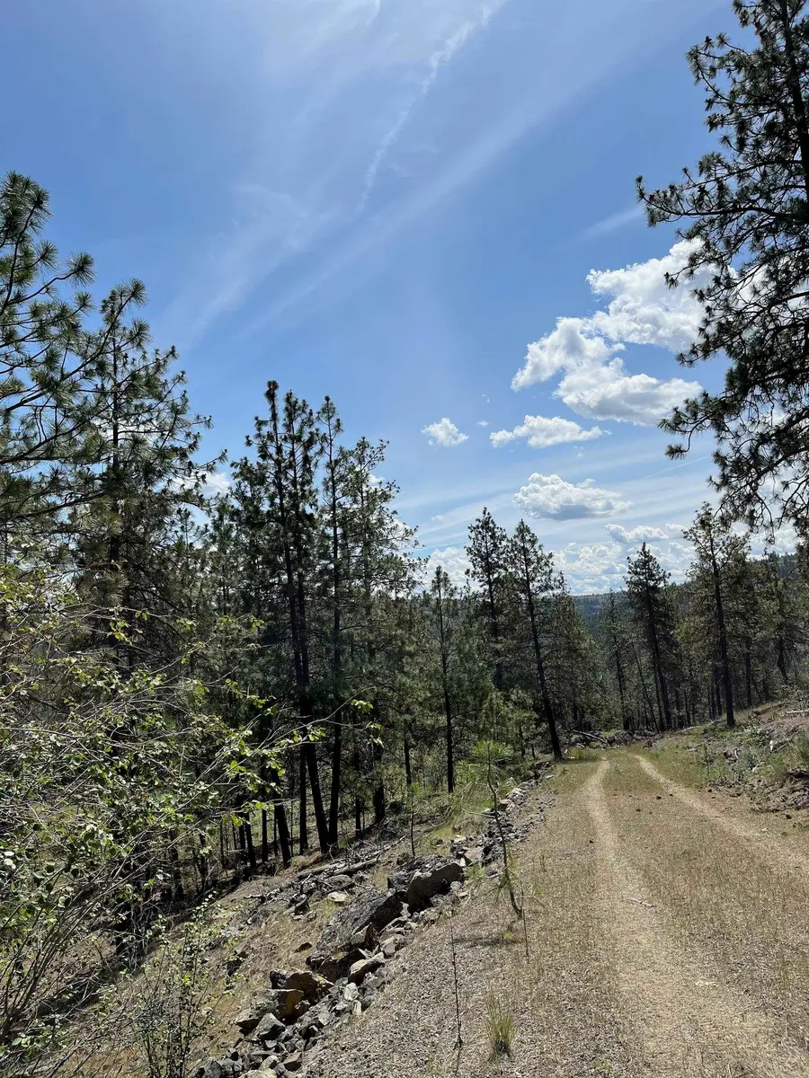 Wapiti 3 Bob White Ln, Davenport, WA 99122 - Image #2