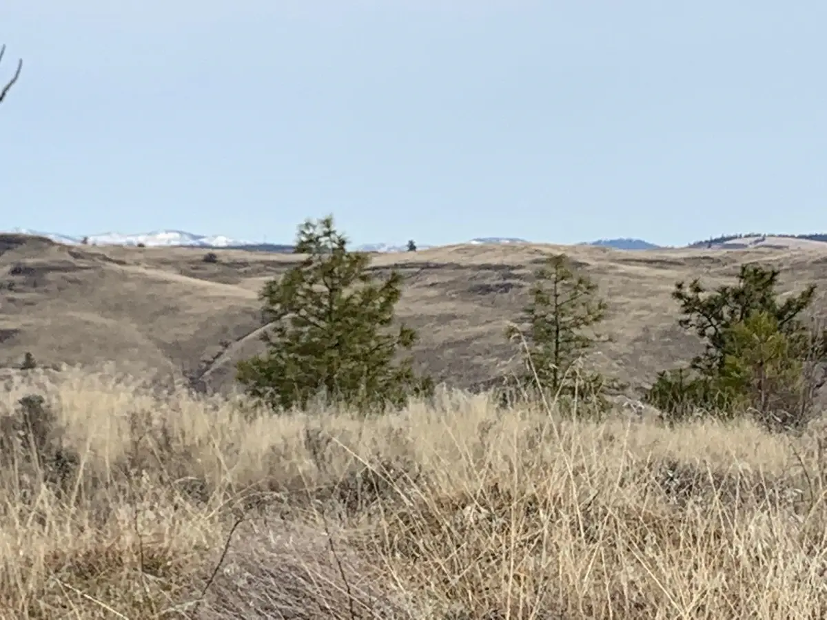 31805 Ruffed Grouse E Dr, Davenport, WA 99122 - Image #1