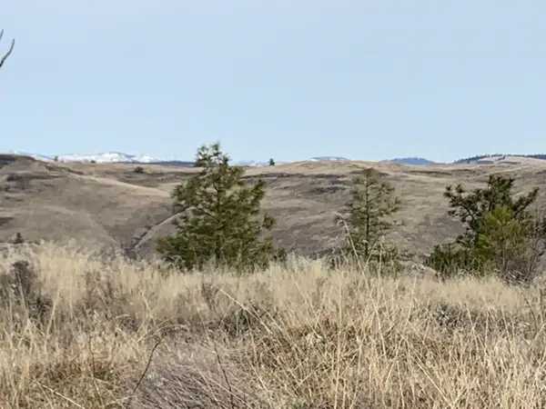 31805 Ruffed Grouse E Dr, Davenport, WA 99122