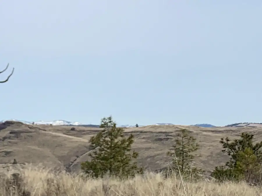 31805 Ruffed Grouse E Dr, Davenport, WA 99122 - Image #2