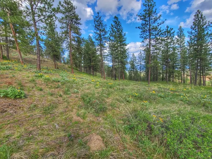 1612 Palmer Loop, Chewelah, WA 99109 - Image #3