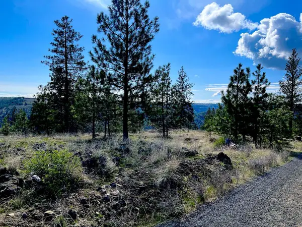 34430 Partridge N Ln, Davenport, WA 99122