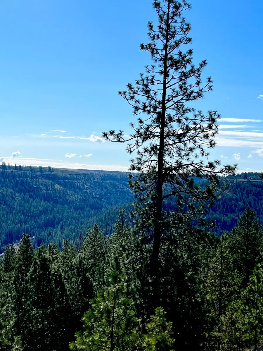 34430 Partridge N Ln, Davenport, WA 99122 - Image #2