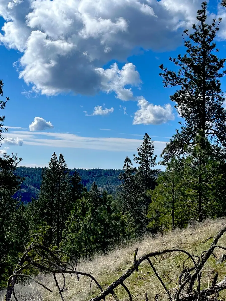 34430 Partridge N Ln, Davenport, WA 99122 - Image #3