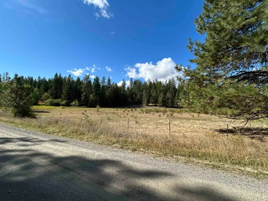 47161.0305 N Northwood Dr, Mead, WA 99021 - Image #2