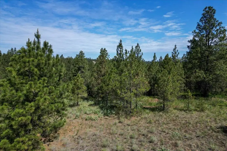 1305 E Wildflower Ln, Spokane, WA 99224 - #3