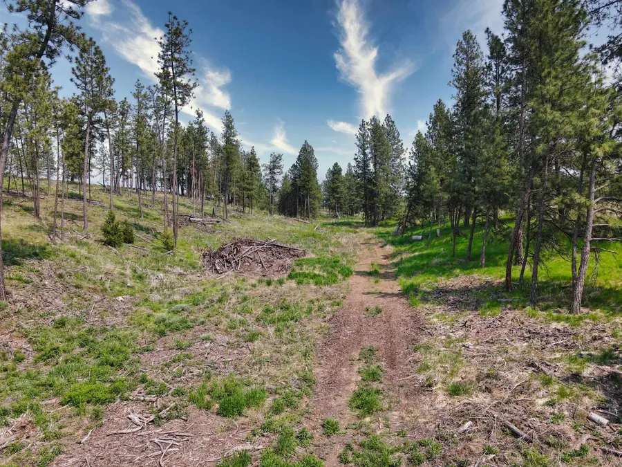 45XXX Devore Rd, Davenport, WA 99122 - #3