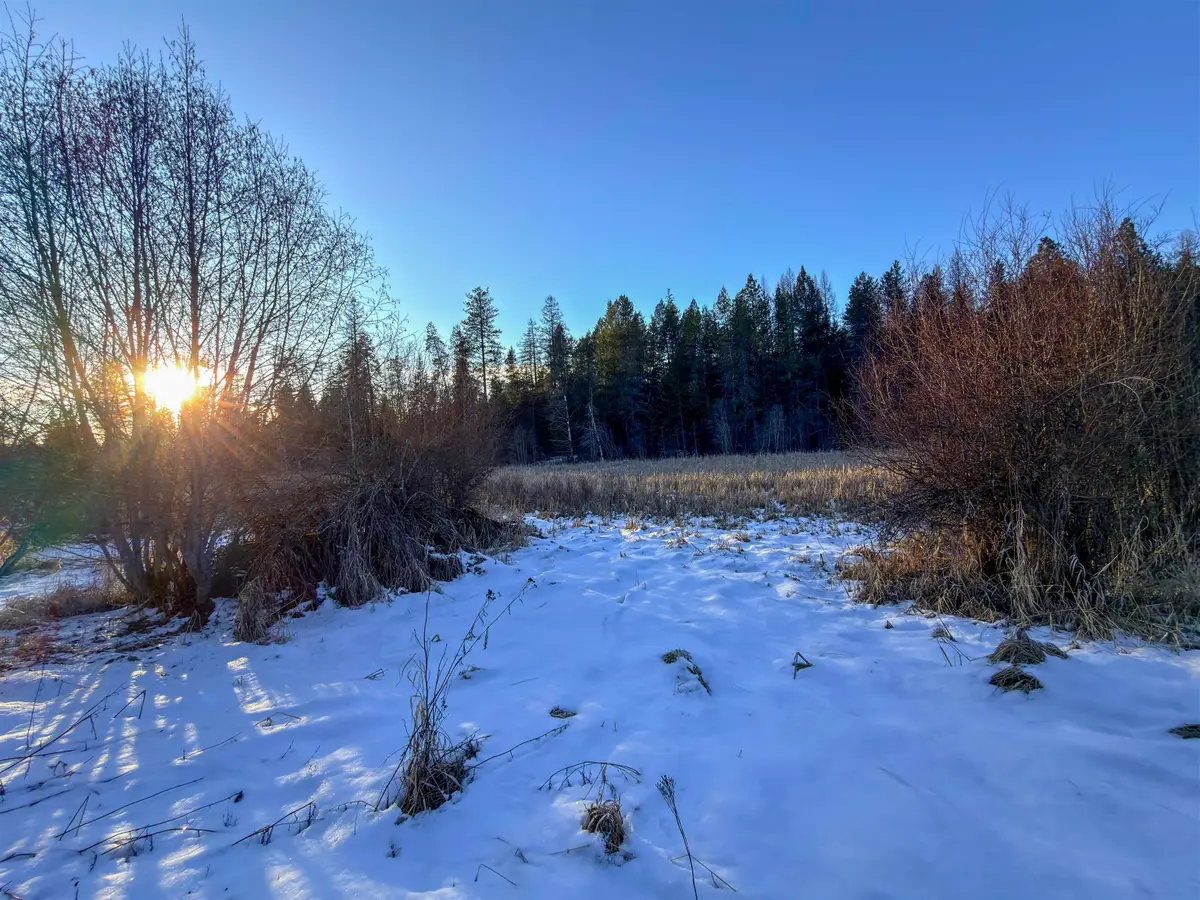 331861 2 Hwy, Newport, WA 99156 - Image #1