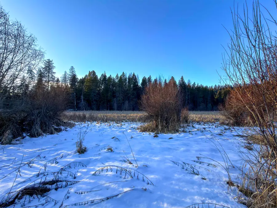 331861 2 Hwy, Newport, WA 99156 - Image #2