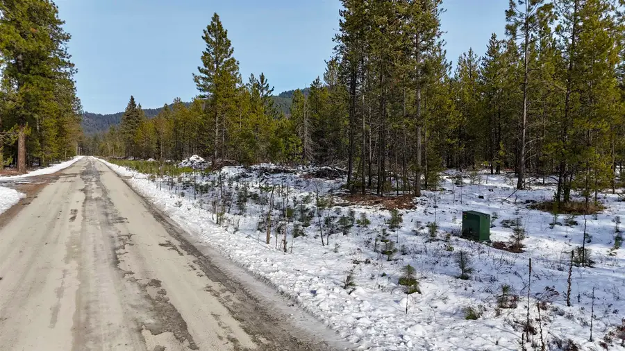 321 Misty Ridge Ln, Newport, WA 99156 - Image #3