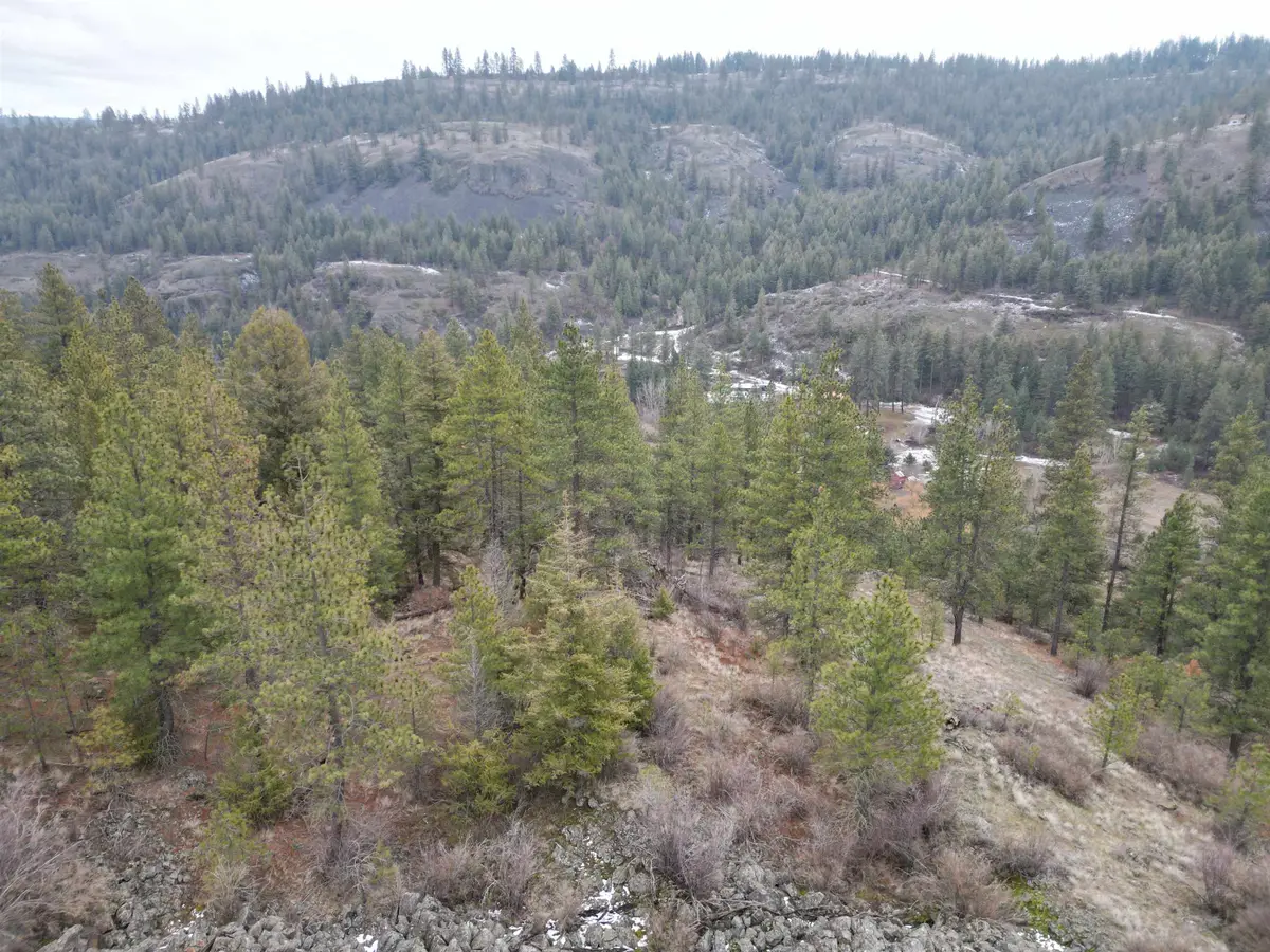 33055 Hawk Creek Ranch Rd N Rd, Davenport, WA 99122 - #1