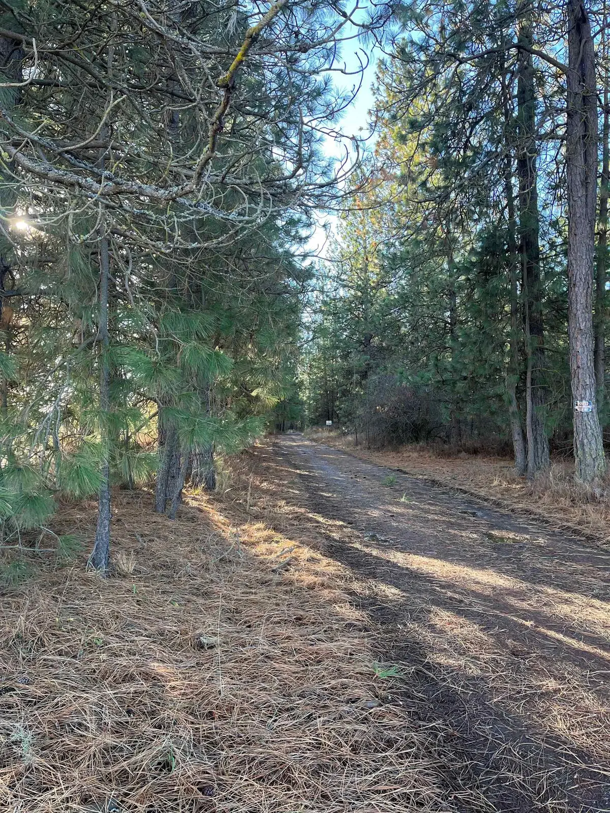 20XXX N Cedar Rd, Colbert, WA 99005 - Image #1