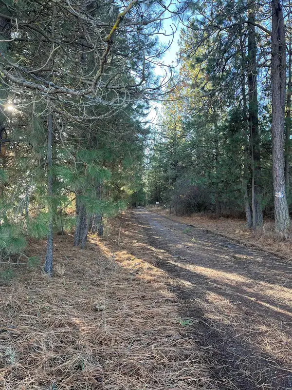 20XXX N Cedar Rd, Colbert, WA 99005