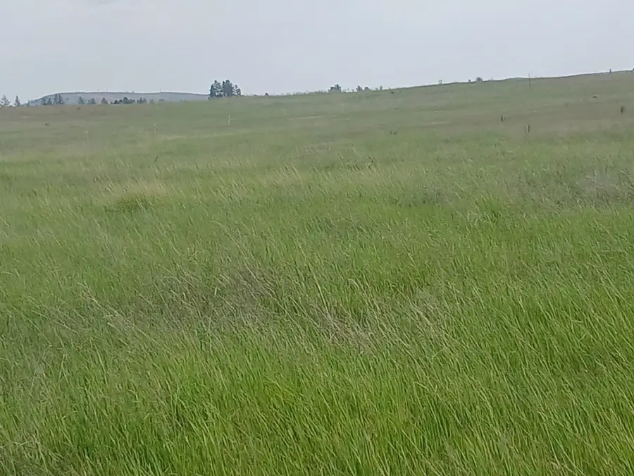 295xx W Hallett Rd, Medical Lake, WA 99022 - Image #3