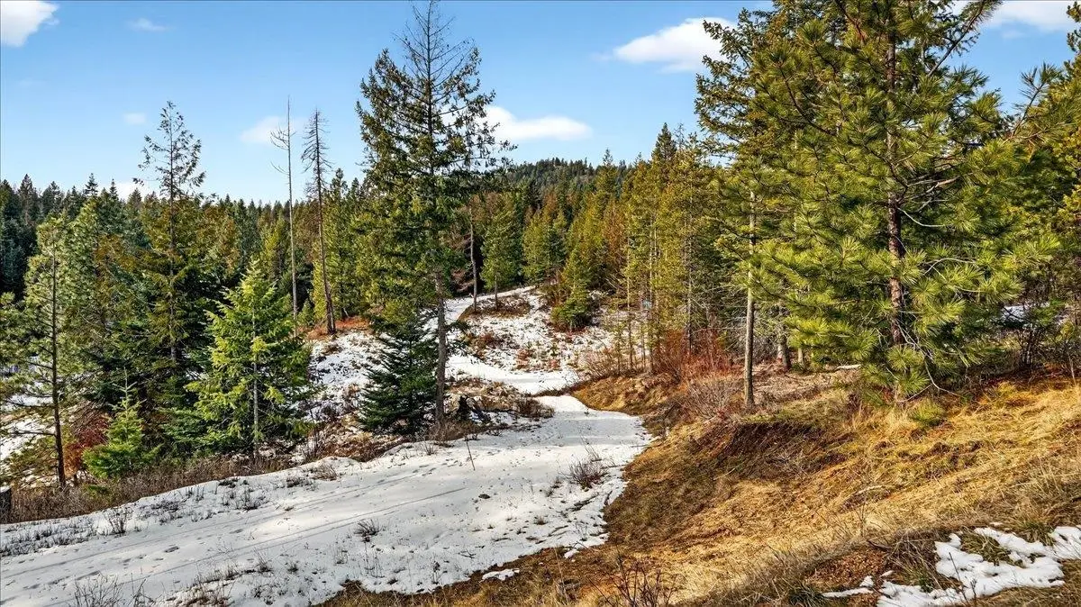 4467 F Williamson Rd, Clayton, WA 99110 - #1