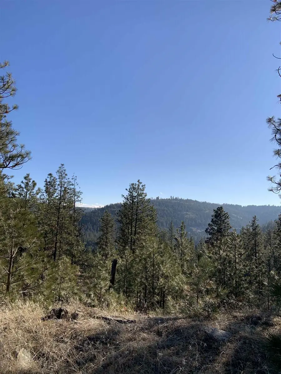 Lot 1 Blue Jay Bob White Ln, Davenport, WA 99122 - #2