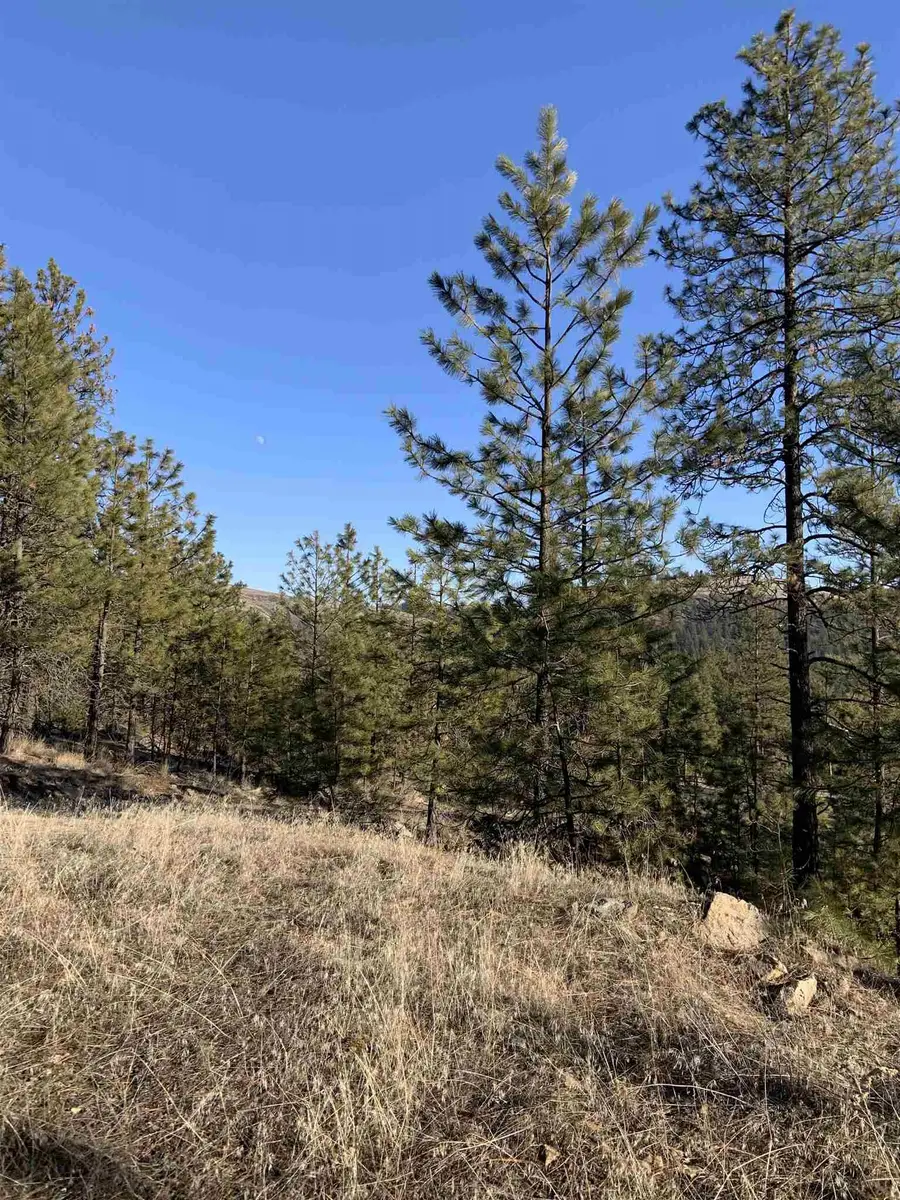 Lot 1 Blue Jay Bob White Ln, Davenport, WA 99122 - #3