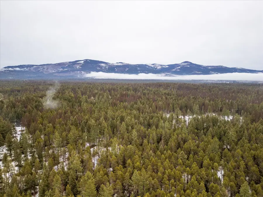 NKN Stateline Rd, Newport, WA 99156 - Image #3