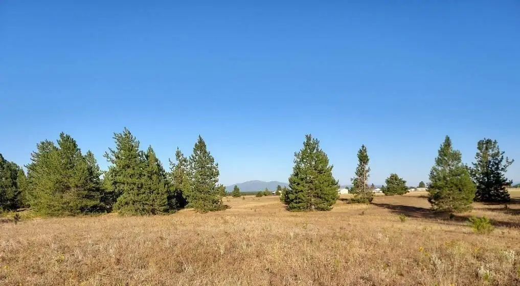 361XX N Cedar Rd, Deer Park, WA 99006 - Image #1