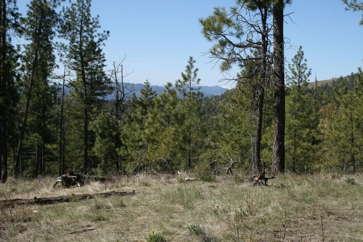 6171 Coyote Canyon Rd, Fruitland, WA 99129 - #1