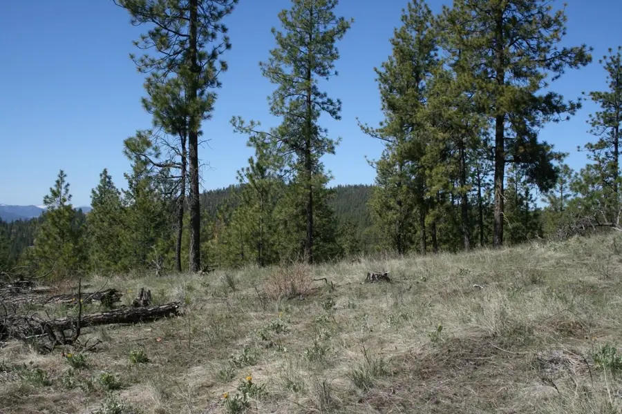 6171 Coyote Canyon Rd, Fruitland, WA 99129 - #2