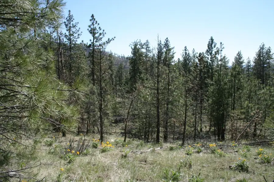 6171 Coyote Canyon Rd, Fruitland, WA 99129 - #3