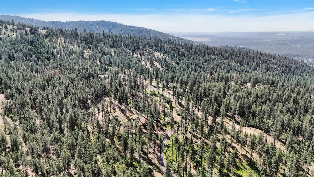 NKA Weaver Way, Deer Park, WA 99006 - #1