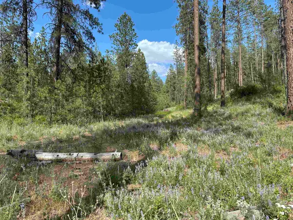 NKA Lower Weaver Way, Deer Park, WA 99006