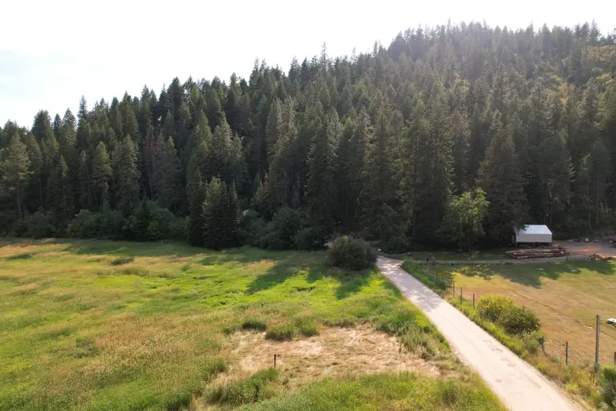 41XX North Deer Lake Rd, Loon Lake, WA 99148 - #2