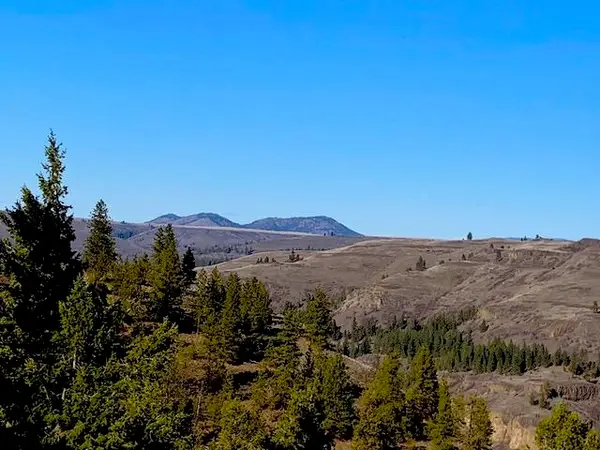 31775 Ruffed Grouse E Dr, Davenport, WA 99122