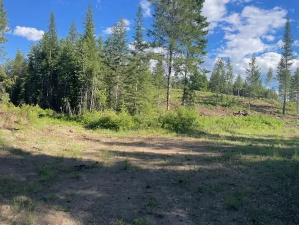 NKN Bead Lake Road Rd, Newport, WA 99156