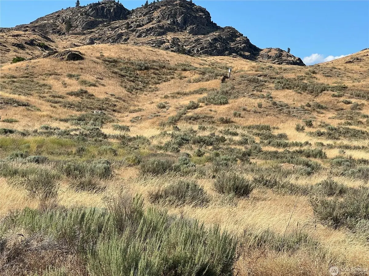 Lot 3 Gunsmoke Rd, Brewster, WA 98812 - #1