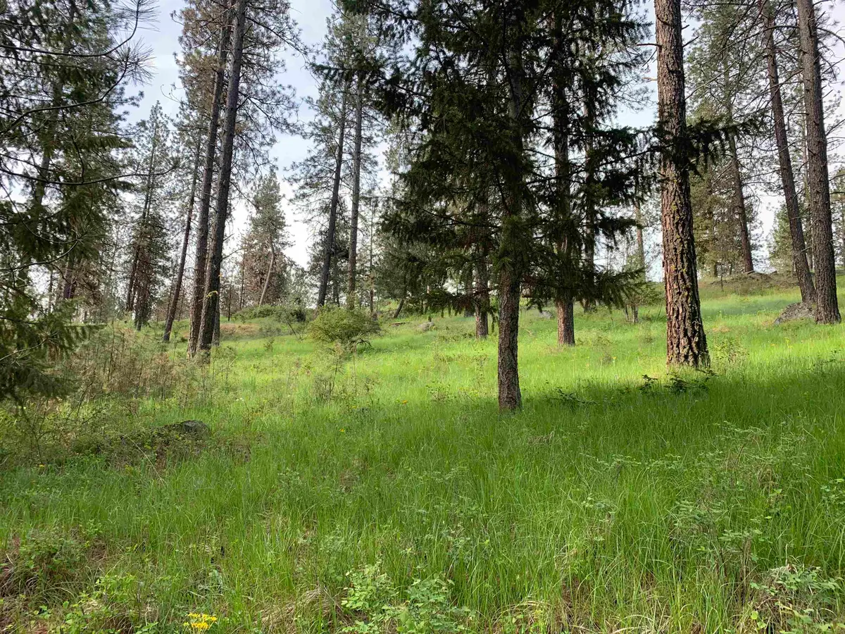 160xx N Austin Rd, Spokane, WA 99208 - #1