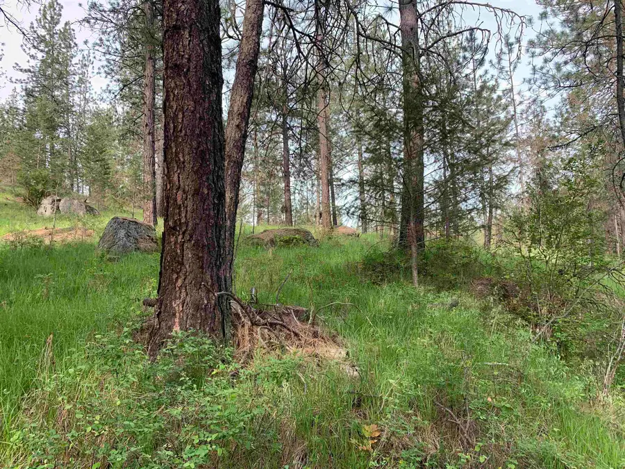 160xx N Austin Rd, Spokane, WA 99208 - #3