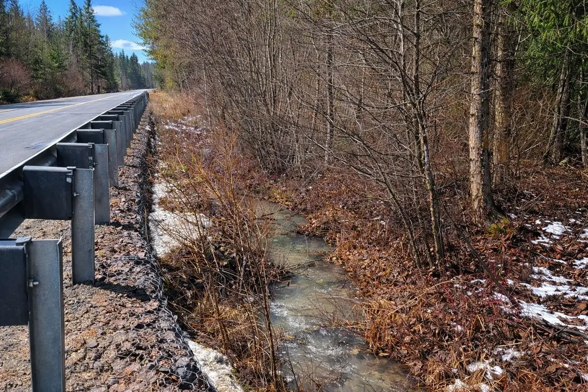 43XX E Deer Lake Rd, Loon Lake, WA 99148 - #1