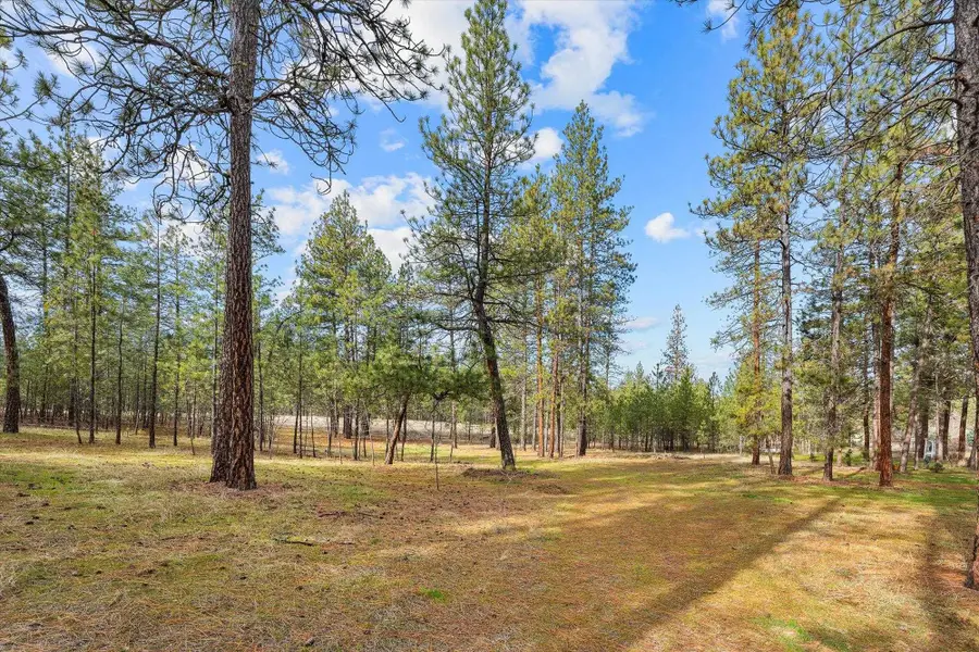 6551 Kate Dr, Nine Mile Falls, WA 99026 - #3