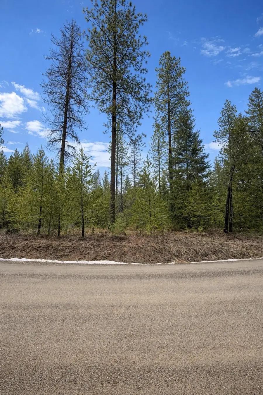 1420 Driskill Rd, Newport, WA 99156 - #2