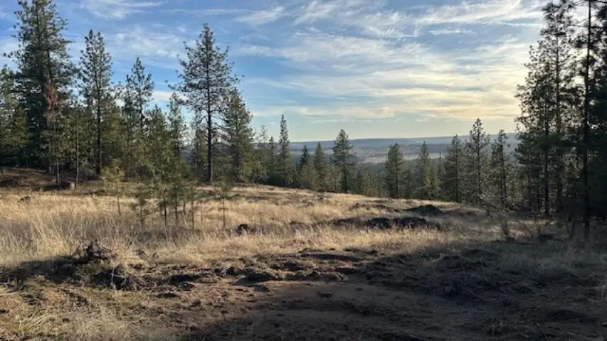 NKA Landon Ln, Spokane, WA 99208 - #1